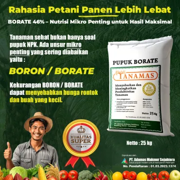 Pupuk Tanamas Borat 46% (25 Kg)