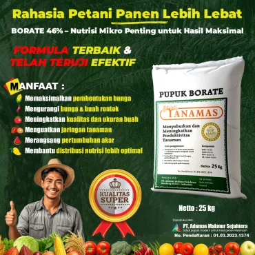 Pupuk Tanamas Borat 46% (25 Kg)